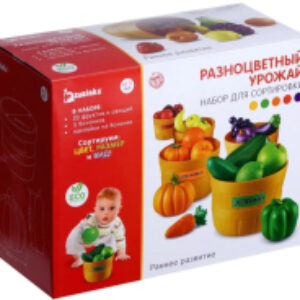 Сортер Разноцветный урожай / 4415058 21век