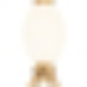 Потолочный светильник 4559-1PC 21век