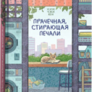 Книга Прачечная