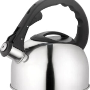 Чайник со свистком AST1020 21век