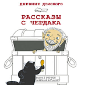 Книга Дневник Домового. Рассказы с чердака 21век