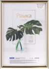 Рамка Basic / РП_41690 21век