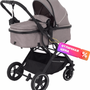 Детская универсальная коляска Basic Pulsar 2 в 1 / RA160 21век