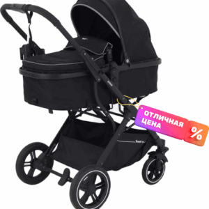 Детская универсальная коляска Basic Pulsar 2 в 1 / RA160 21век
