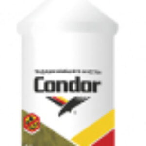 Защитно-декоративный состав Biotol 21век