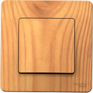 Выключатель Blanca BLNVS010105 21век