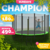Батут Champion-D490 21век