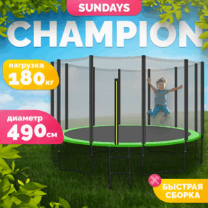 Батут Champion-D490 21век