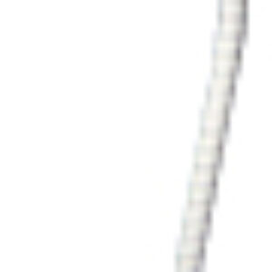 Настольная лампа Ньютон CL803070N 21век