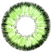 Комплект контактных линз Classic Green Sph-6.00 21век