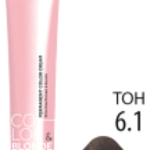 Крем-краска для волос Color&Blonde 6.1 21век