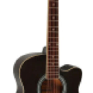 Акустическая гитара E4010 BK 21век