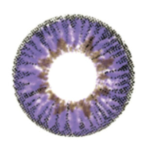 Комплект контактных линз Elegance Violet Sph-4.00 21век