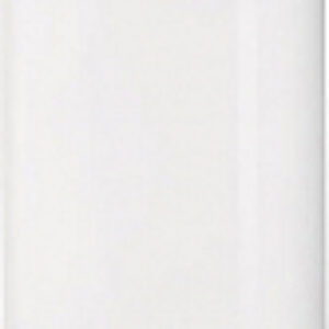 Накопительный водонагреватель EWH 100 Formax DL 21век