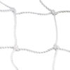 Сетка хоккейная FS-H-№2.5 21век