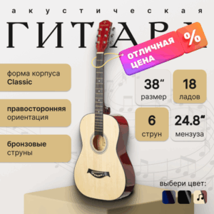 Акустическая гитара FT-R38B-N 21век