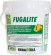Фуга эпоксидная FugaLite 01 21век