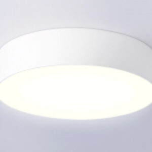 Потолочный светильник FV5520 WH 21век