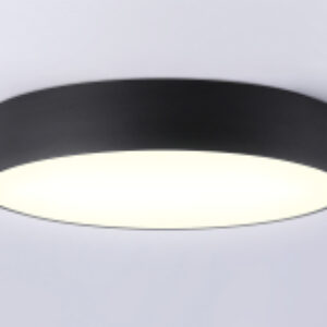 Потолочный светильник FV5534 BK 21век