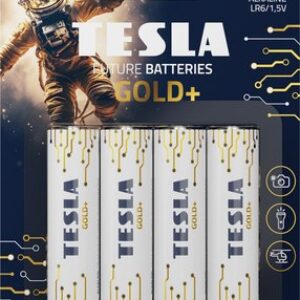 Комплект батареек Gold+ AA LR06 1.5V / 1099137206 21век