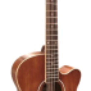 Акустическая гитара IWC-235 MTV 21век