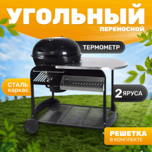Угольный гриль KY22022C 21век