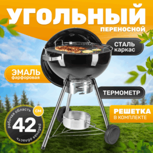 Угольный гриль KY22022HE 21век