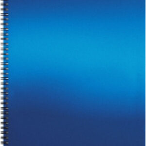 Папка для бумаг Matt Ice Metallic / 49962 21век