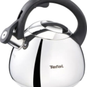 Чайник со свистком N4180110 21век