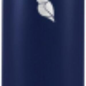 Термос для напитков ODF-450K / 2022K8 21век