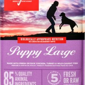 Сухой корм для собак Puppy Large 21век