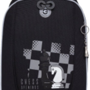 Школьный рюкзак RAf-393-10 21век