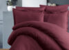 Комплект постельного белья Satin Gizgili Asel PS03 евро / PB1900-M 21век