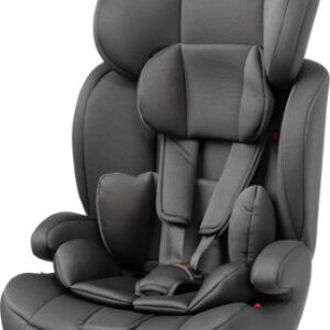 Автокресло Simple ZY10 21век