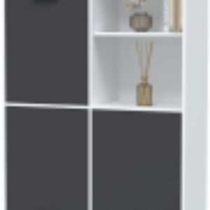 Шкаф Skill-20 (3) 21век