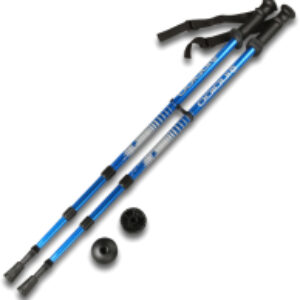 Палки для скандинавской ходьбы SL-1-3 21век