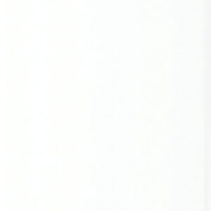 Холодильник без морозильника SRd 5220 21век