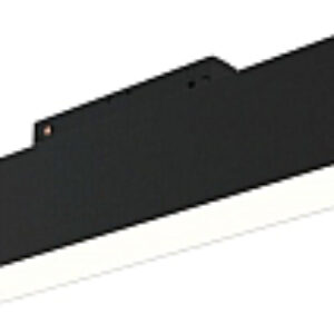 Трековый светильник Track TR012-2-12W4K-B 21век