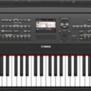 Цифровое фортепиано DGX-670B 21век