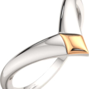 Кольцо из комбинированного серебра 0200083.G14K 21век