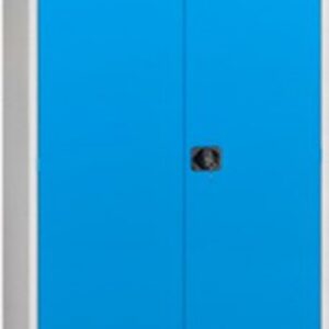 Шкаф металлический Инструментальный / Т-100 21век