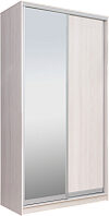 Шкаф-купе 120 YYX Elgon РГ-06.02 21век