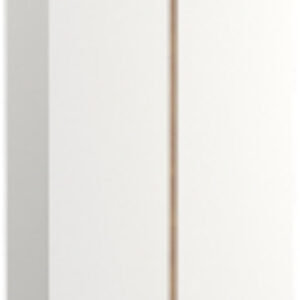 Шкаф Муссон 13.198 двухстворчатый 21век