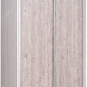 Шкаф-купе 138 YSX Elgon РГ-11.03 21век