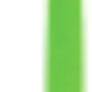 Ручка шариковая Авокадо / 143794 21век