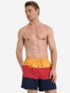 Шорты мужские ELLESSE