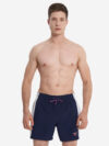 Шорты мужские Speedo