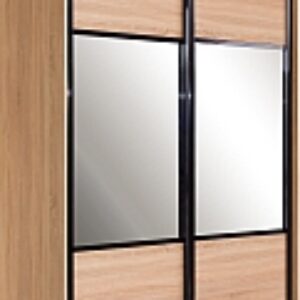 Шкаф-купе 16 SSG.01 / АЭП ШК.3 21век