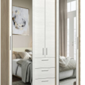 Шкаф-купе 170 SB.2 / ПР-4D2Z3S 21век