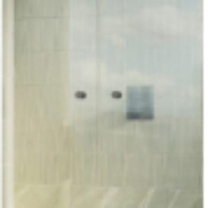 Душевая дверь 195x101 / MGD-464-6 21век